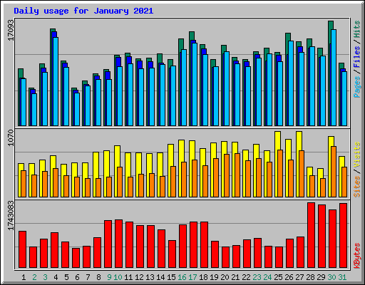 Daily usage for January 2021