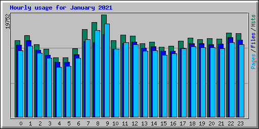 Hourly usage for January 2021