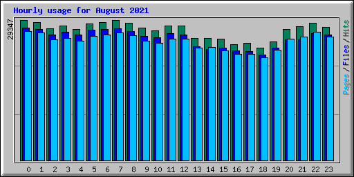 Hourly usage for August 2021