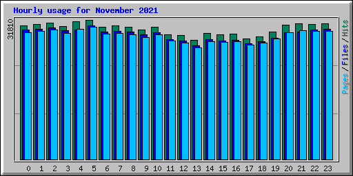 Hourly usage for November 2021