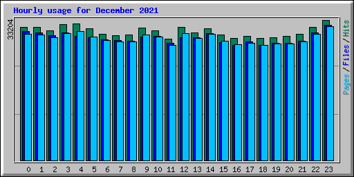 Hourly usage for December 2021